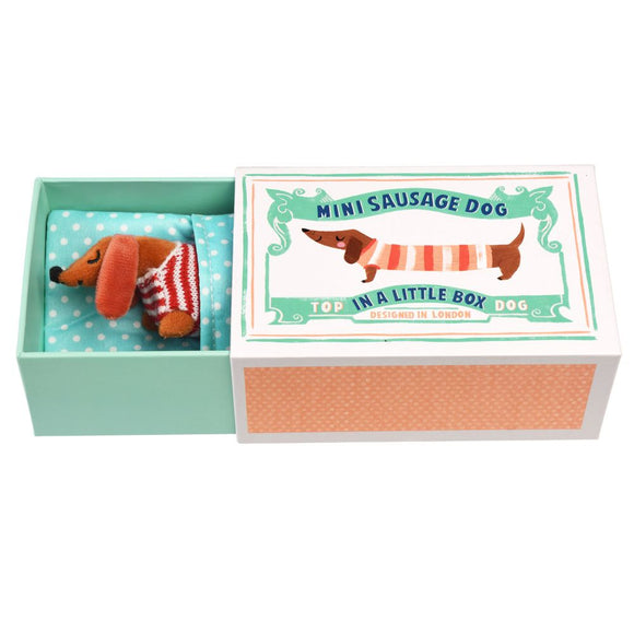 Rex London - Mini Sausage Dog in a Box. Sold at Have You Met Charlie?, a unique gift shop located in Adelaide, South Australia.