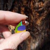 male gouldian finch enamel pin by patch press from have you met charlie a gift shop with Australian unique handmade gifts in Adelaide South Australia
