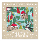 Earth Greetings - Boxed Square Christmas Cards Various