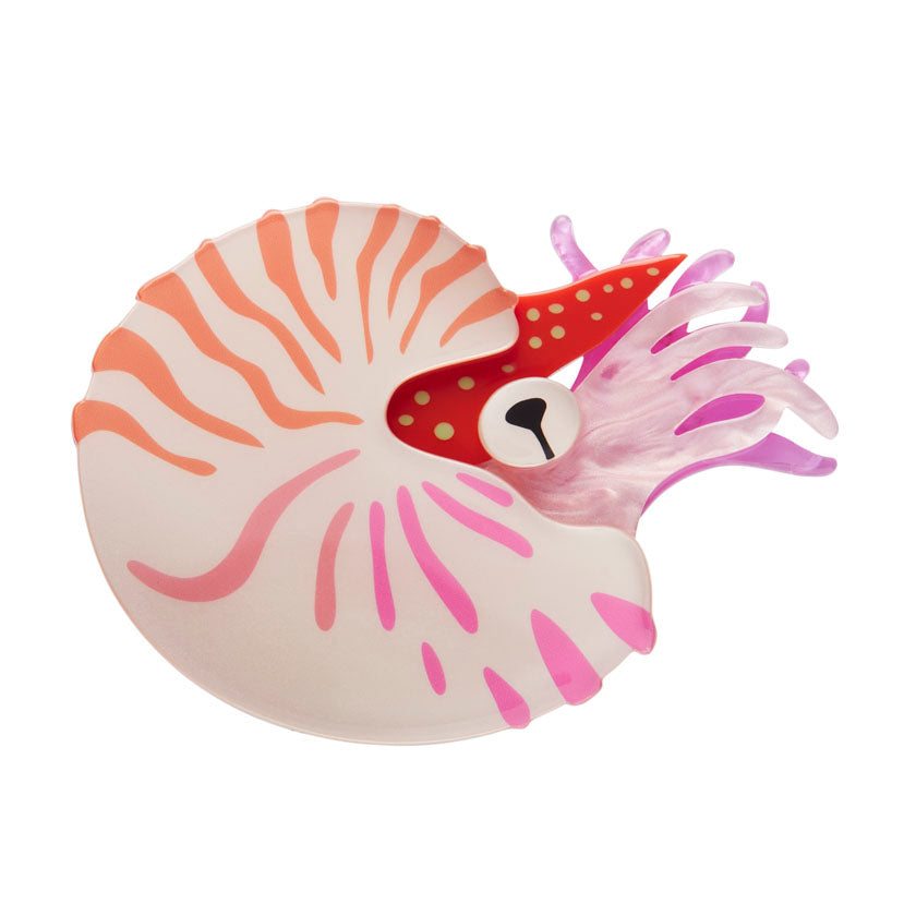 Erstwilder Great Barrier Reef - Chambered Nautilus Brooch. Sold at Have You Met Charlie?, a unique gift shop located in Adelaide, South Australia.