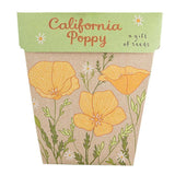 Sow 'n Sow Gift Of Seeds - California Poppy. Sold at Have You Met Charlie?, a unique gift shop located in Adelaide, South Australia.