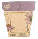 Sow 'n Sow Gift Of Seeds - Swan River Daisy