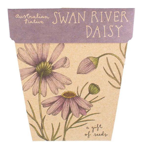 Sow 'n Sow Gift Of Seeds - Swan River Daisy. Sold at Have You Met Charlie?, a unique gift shop located in Adelaide, South Australia.