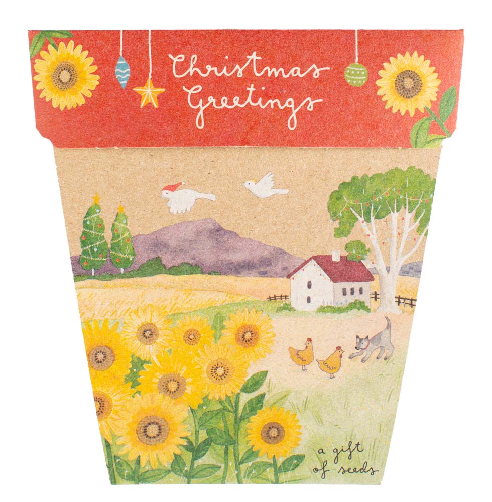 Sow n Sow Christmas Sunflower Gift of Seeds. Sold at Have You Met Charlie?, a unique gift shop located in Adelaide. South Australia.