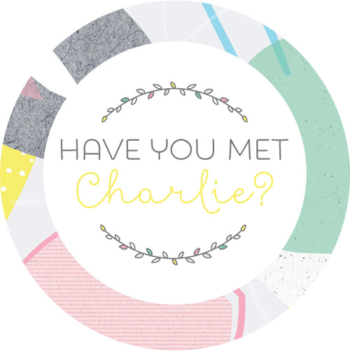 Have You Met Charlie?
