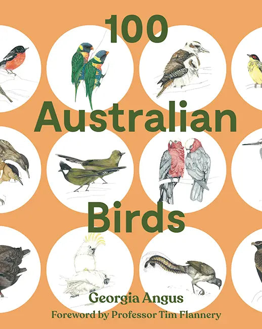 Hardie Grant Book - 100 Australian Birds available at Have You Met Charlie?, a unique gift store in Adelaide, South Australia.