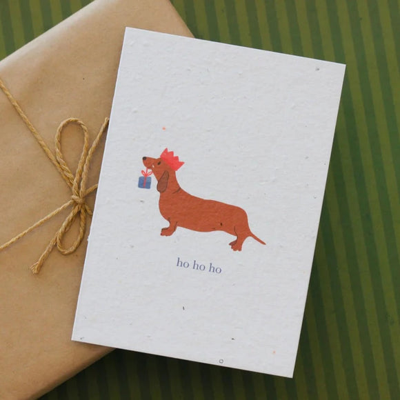 Hello Petal Plantable Christmas Card - Ho Ho Ho sold at Have You Met Charlie? a unique gift shop in Adelaide, South Australia