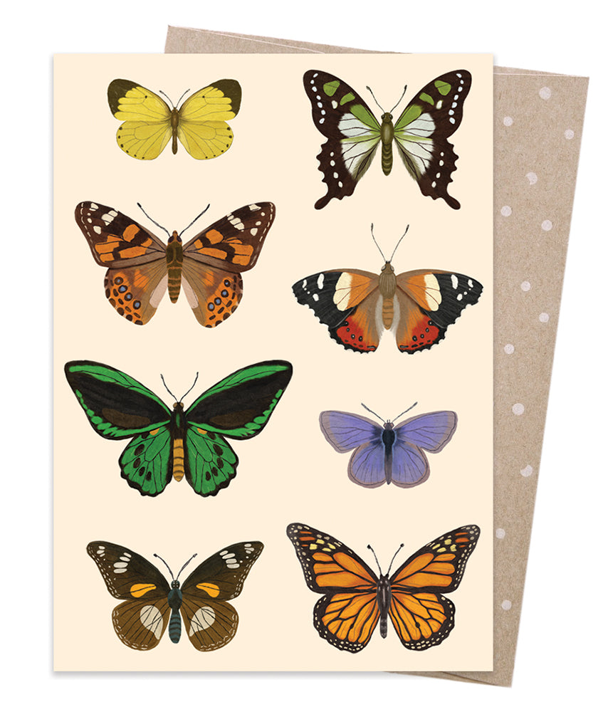 Earth Greetings Card - Native Flutter, sold at Have You Met Charlie?, a unique gift shop located in Adelaide, South Australia.