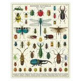Vintage Puzzles - Bugs & Insects