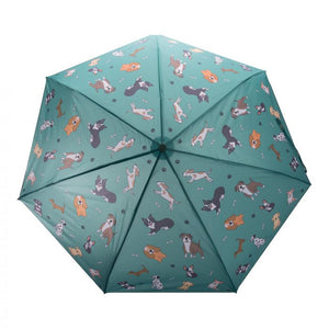 The Dog Collection - Umbrellas sold at Have You Met Charlie, a unique gift store located in Adelaide, South Australia