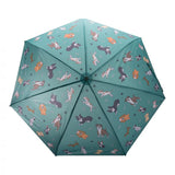 The Dog Collection  - Umbrellas