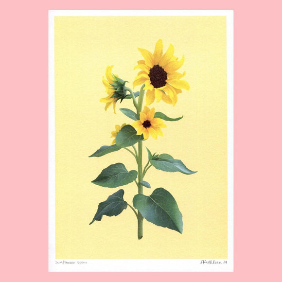 Lauren Kathleen A4 Art Print - Sunflower Stem
