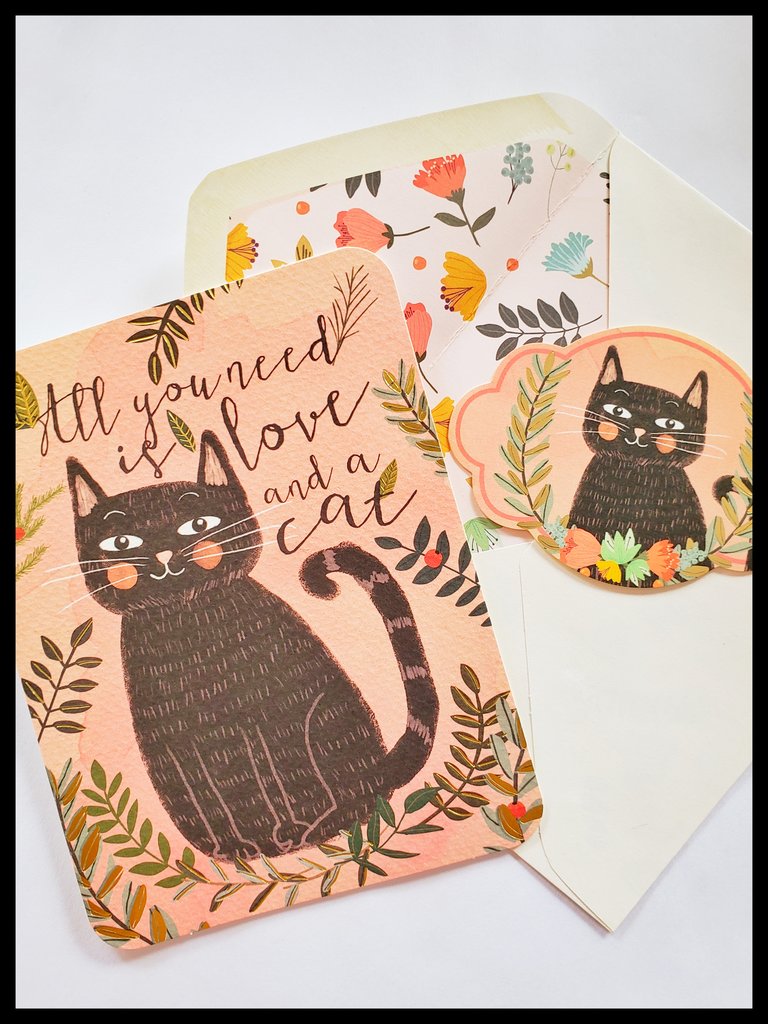 Studio Oh! Card - All You Need is a Catfrom have you met charlie a gift shop with Australian unique handmade gifts in Adelaide South Australia