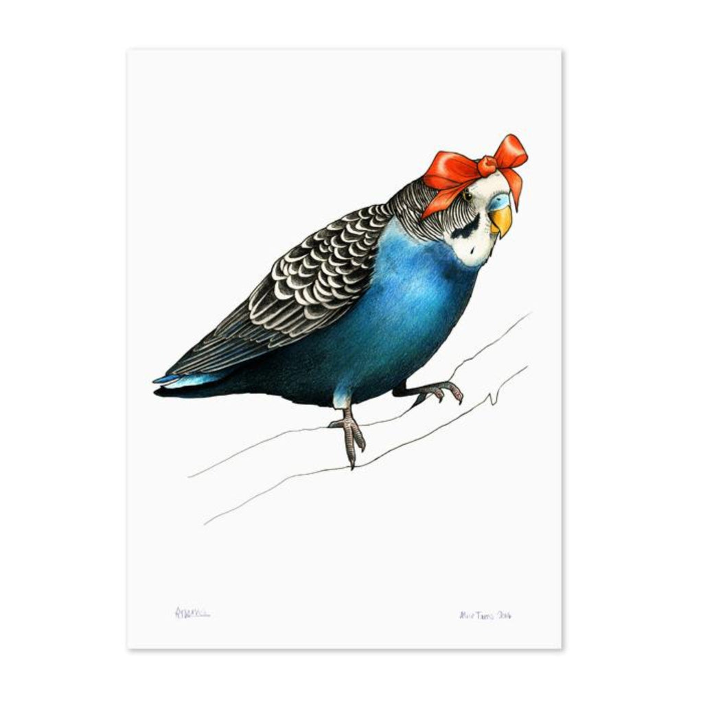 Birds In Hats Print - Budgie in a Bow A4 from have you met charlie a gift shop with Australian unique handmade gifts in Adelaide South Australia