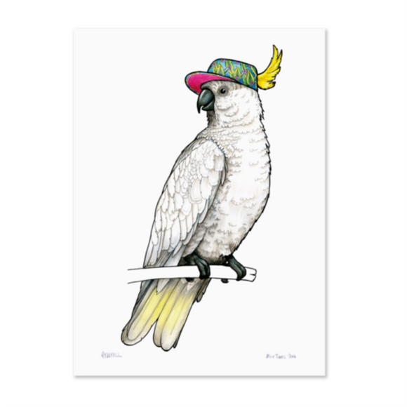 Birds In Hats Print - Sulphur Crested Cockatoo in a Tropical Visor A4 from have you met charlie a gift shop with Australian unique handmade gifts in Adelaide South Australia