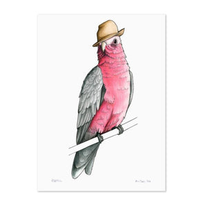 Birds In Hats Print - Galah in a Trilby A4 from have you met charlie a gift shop with Australian unique handmade gifts in Adelaide South Australia