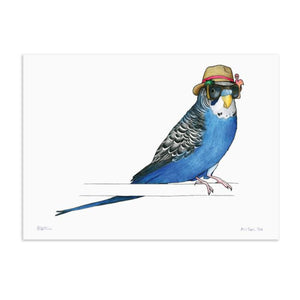 Birds In Hats Print - Budgie in a Trilby A4 from have you met charlie a gift shop with Australian unique handmade gifts in Adelaide South Australia
