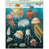 Vintage Puzzles - Jellyfish from have you met charlie a gift shop in Adelaide south Australian with unique handmade gifts