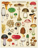 Vintage Puzzles - Mushrooms