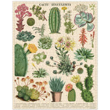 Vintage Puzzles - Cacti & Succulents from have you met charlie a gift shop in Adelaide south Australian with unique handmade gifts