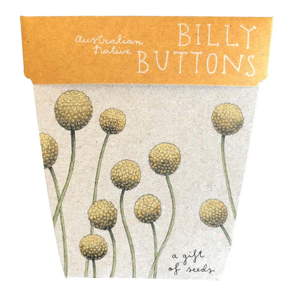 Sow 'n Sow - Gift of Seeds Billy Buttons, sold at Have You Met Charlie?, a unique gift store in Adelaide, South Australia.