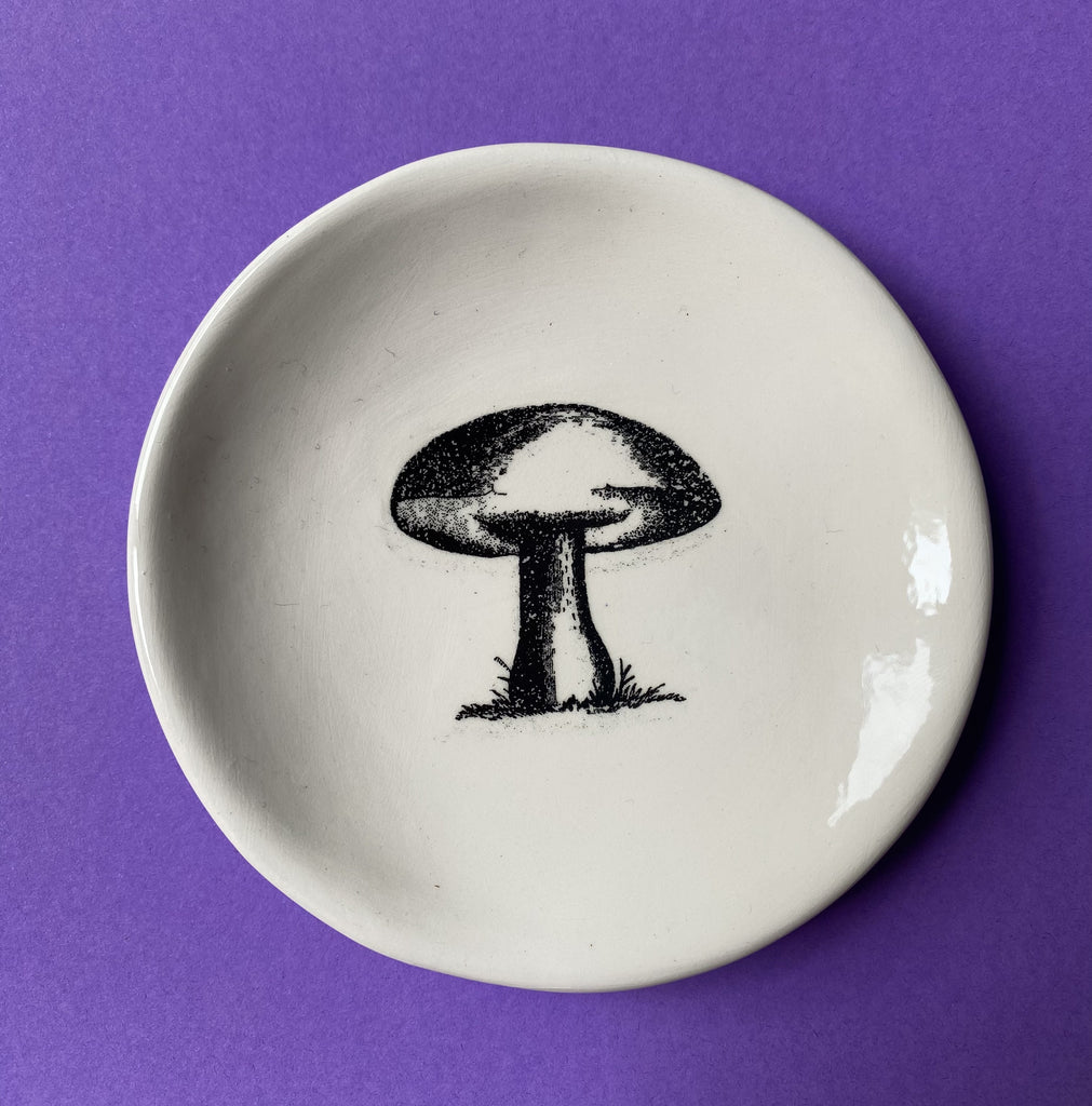 RJ Crosses Coin Dish - Mushrooms. Sold at Have You Met Charlie?, a unique gift shop located in Adelaide, South Australia.