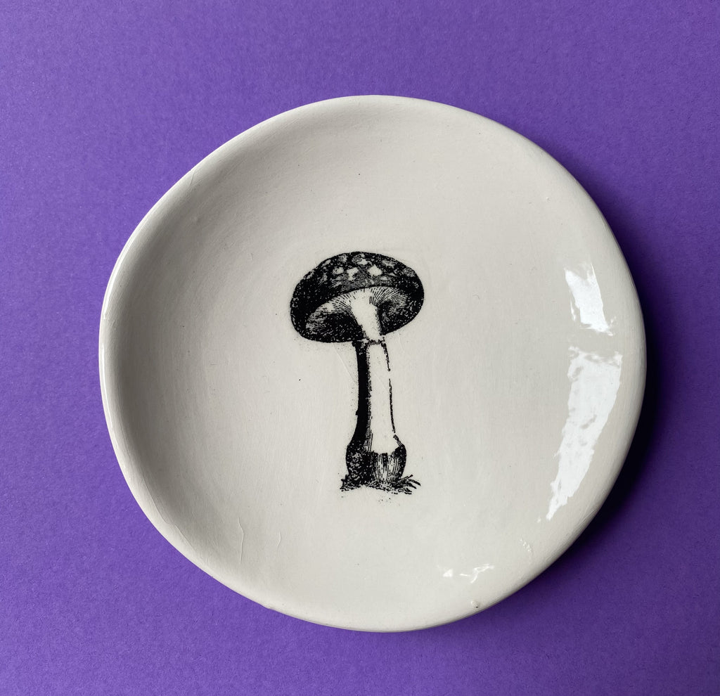 RJ Crosses Coin Dish - Mushrooms. Sold at Have You Met Charlie?, a unique gift shop located in Adelaide, South Australia.