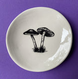 RJ Crosses Coin Dish - Mushrooms. Sold at Have You Met Charlie?, a unique gift shop located in Adelaide, South Australia.