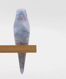 Pete Cromer Handmade Resin Budgie, sold at Have You Met Charlie?, a unique gift store in Adelaide, South Australia.