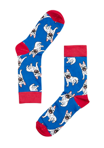 red and blue french bulldog animal my 2 socks from have you met charlie a gift shop with Australian unique handmade gifts in Adelaide South Australia