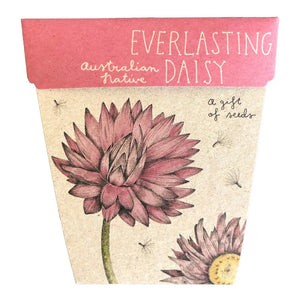 Sow 'n Sow - Gift of Seeds Everlasting Daisy, sold at Have You Met Charlie?, a unique gift store in Adelaide, South Australia.