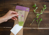 Sow 'n Sow - Sweet Pea Gift of Seeds. An eco-friendly gift that grows featuring stunning illustrative artwork by Daniella Germain to create the perfect, easy to post gift. Sold at Have You Met Charlie? the ultimate gift store in Adelaide, South Australia.