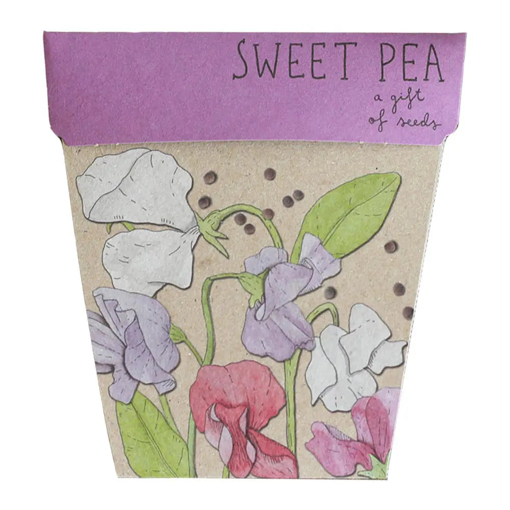 Sow 'n Sow - Sweet Pea Gift of Seeds. An eco-friendly gift that grows featuring stunning illustrative artwork by Daniella Germain to create the perfect, easy to post gift. Sold at Have You Met Charlie? the ultimate gift store in Adelaide, South Australia.