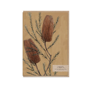 Typoflora Card - Banksia Portrait from have you met charlie a gift shop with Australian unique handmade gifts in Adelaide South Australia
