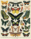Vintage Puzzles - Butterflies