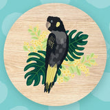 Aero Images magnets designed by Christie Williams - various. Sold at Have you Met Charlie?, a unique gift shop located in Adelaide and Brighton, South Australia.