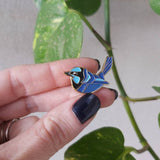 Patch Press enamel pin - fairy wren. Sold at Have You Met Charlie?, a unique handmade gift shop in Adelaide, South Australia.