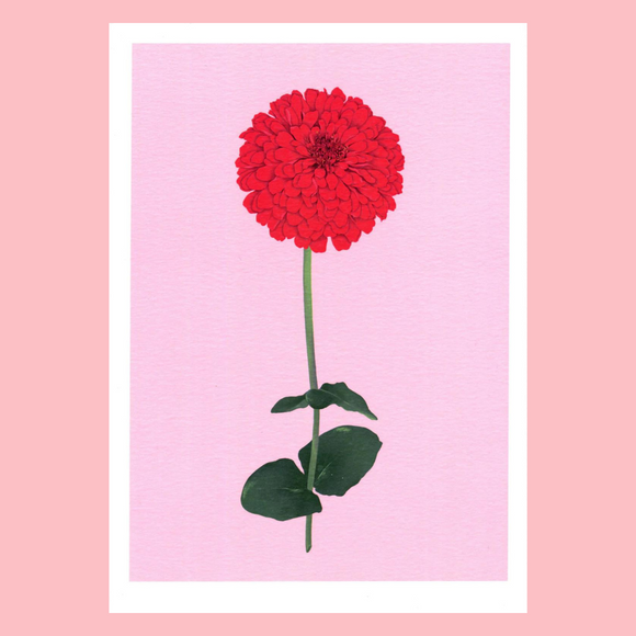 Lauren Kathleen - A4 Art Print - Zinnia Stem, sold at Have You Met Charlie? a unique gift shop in Adelaide, South Australia